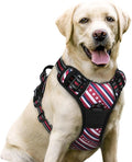 rabbitgoo Dog Harness No Pull by rabbitgoo