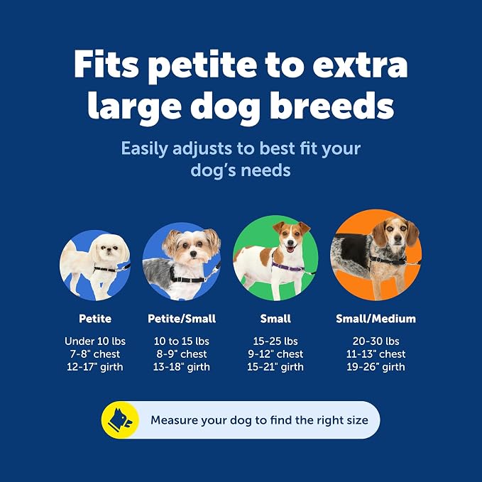 PetSafe Easy Walk Harness for Dogs - Image 5