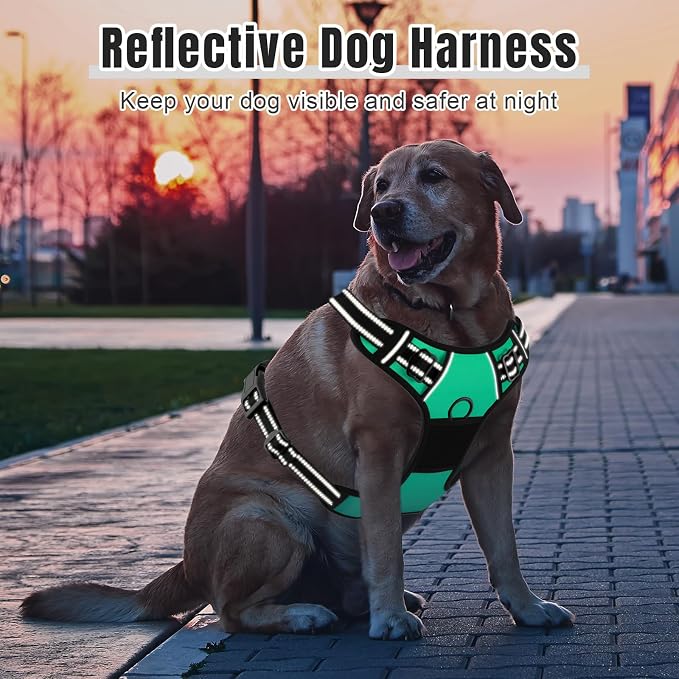 Rnivvi No Pull Dog Harness, Cute Reflective X-Large Sized Puppy Harness - Image 6