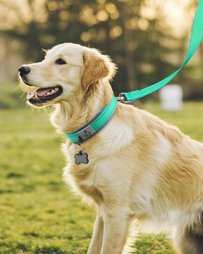 Joytale Dog Collar for Large Dogs, Neoprene Padded and Adjustable, Reflective - Image 3