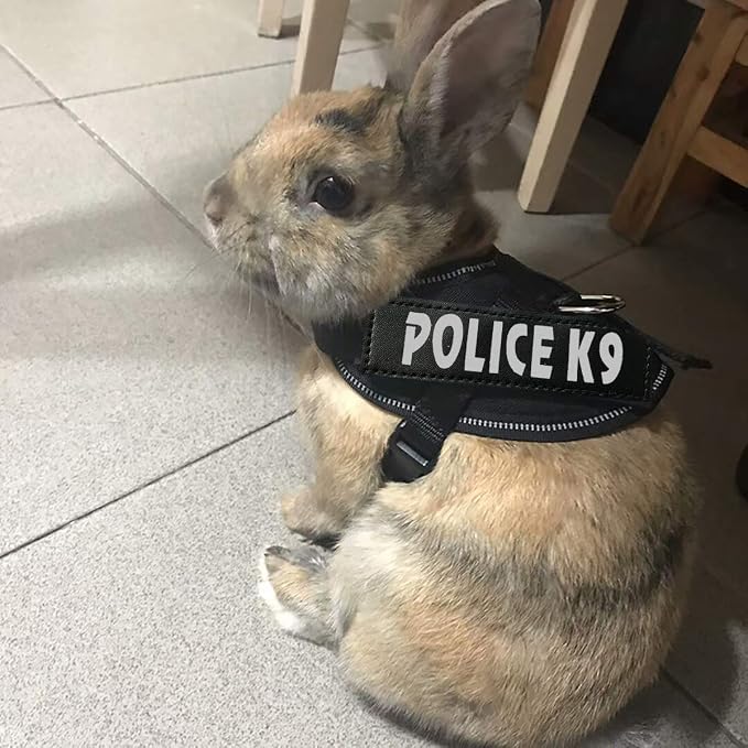 Vehomy Rabbit Harness with Leash - Image 5