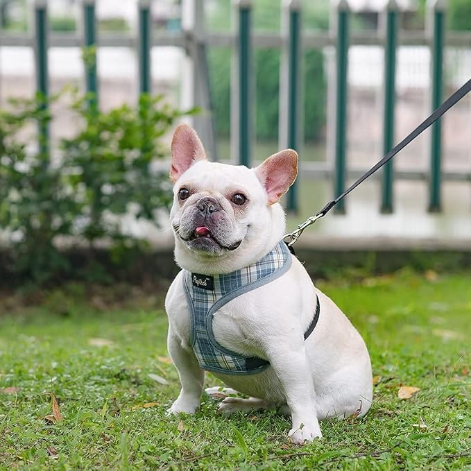 PUPTECK Soft Mesh Dog Harness and Leash Set Pet Puppy Cat Comfort Padded Vest - Image 7