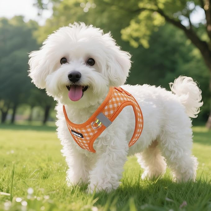 AIITLE Medium Dog Harness – Breathable Mesh - Image 6