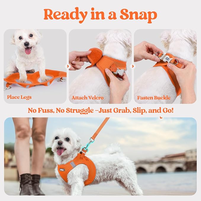 rabbitgoo Dog Harness Medium Sized and Leash Set, Step in Soft Light Puppy Vest - Image 8