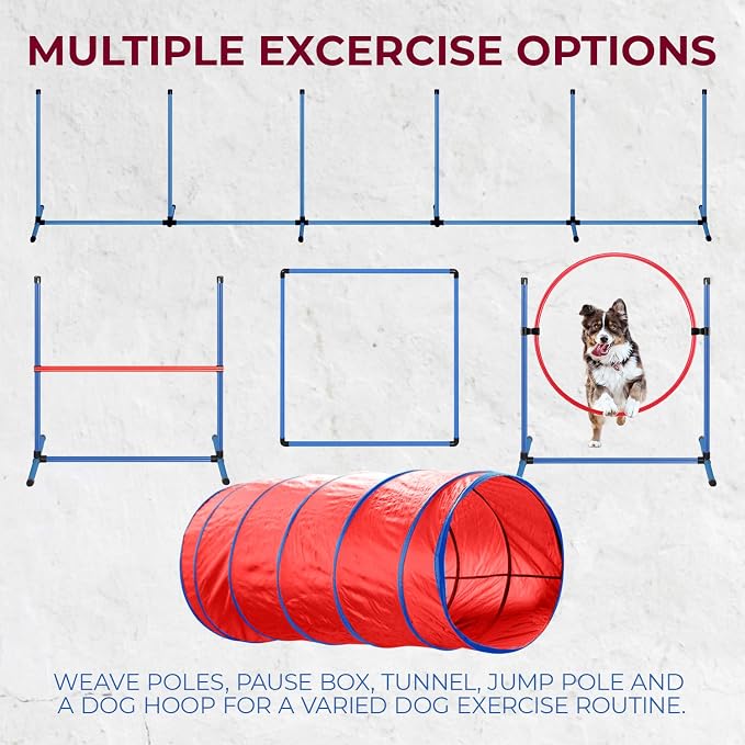 CHEEERING PET Premium Agility Set, 5-Piece Dog Training Kit - Image 6