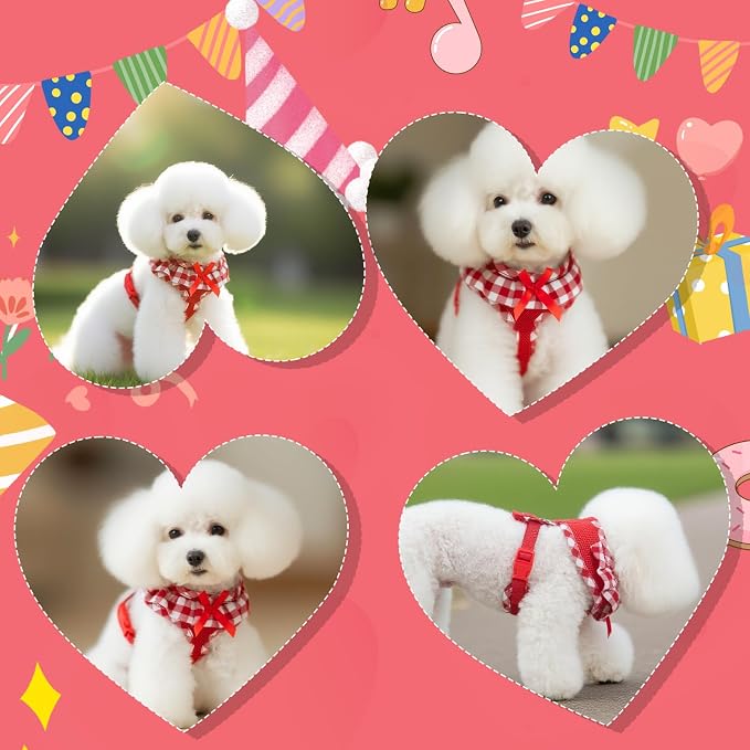 EXPAWLORER Cute Dog Harness Collar Leash Set - Image 7