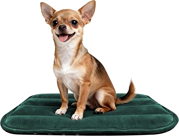 Dog Crate Pad, Ultra Soft & Anti-Slip Kennel Mat, Secure Fit by %E7%AB%8B%E5%8D%B3%E8%B4%AD%E4%B9%B0