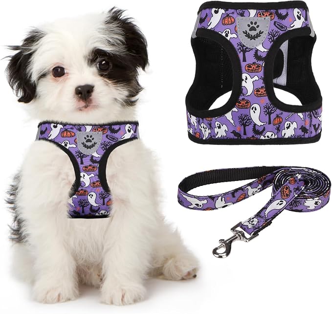 KOOLTAIL Halloween Dog Harness and Leash Set by KOOLTAIL