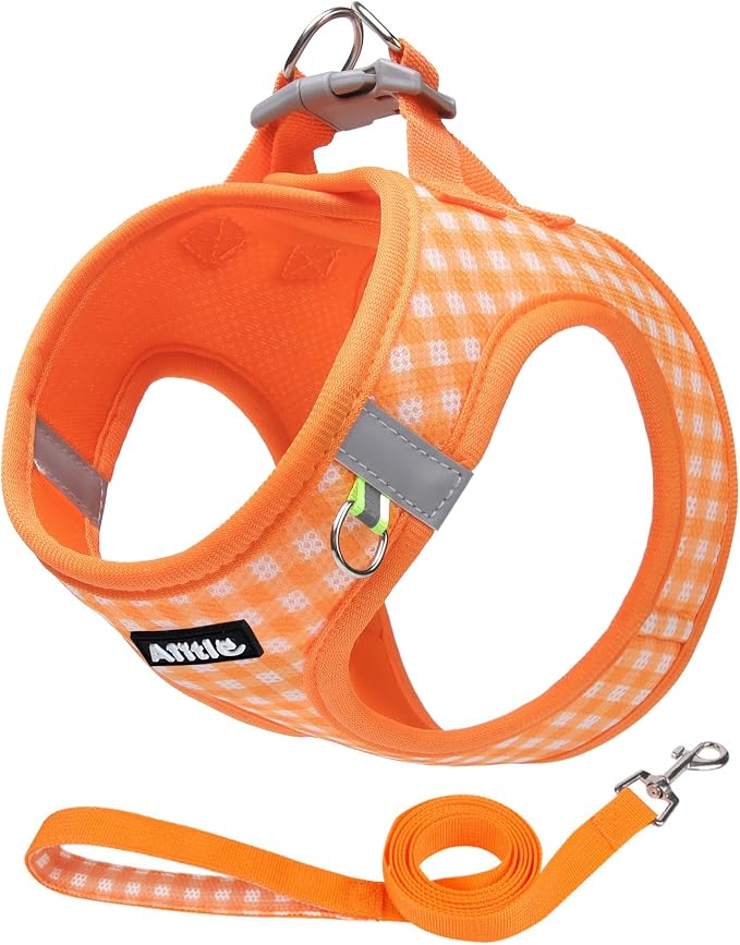 AIITLE Medium Dog Harness – Breathable Mesh by AIITLE-FORPETSBETTERLIFE