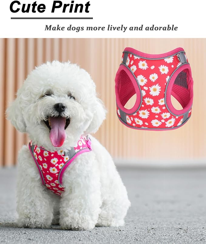 XS ROSEO Flower Pattern Dog Harness and Leash Set, No Escape Puppy Harnesses - Image 2