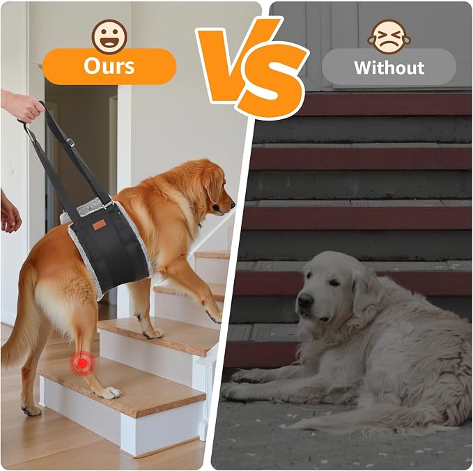 Adjustable Dog Lift Harness, Dog Sling - Image 2