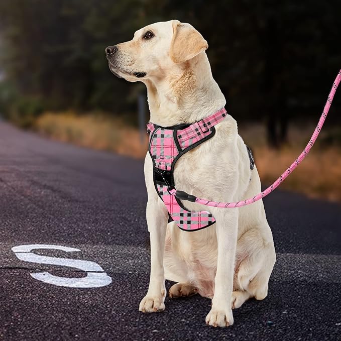 IVY&LANE No Pull Dog Harness - Image 7