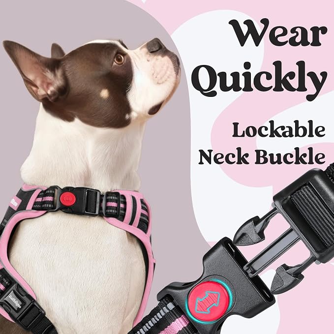 rabbitgoo Dog Harness for Large, No Pull Pet Harness - Image 2
