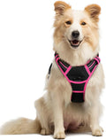 rabbitgoo Dog Harness No Pull by rabbitgoo