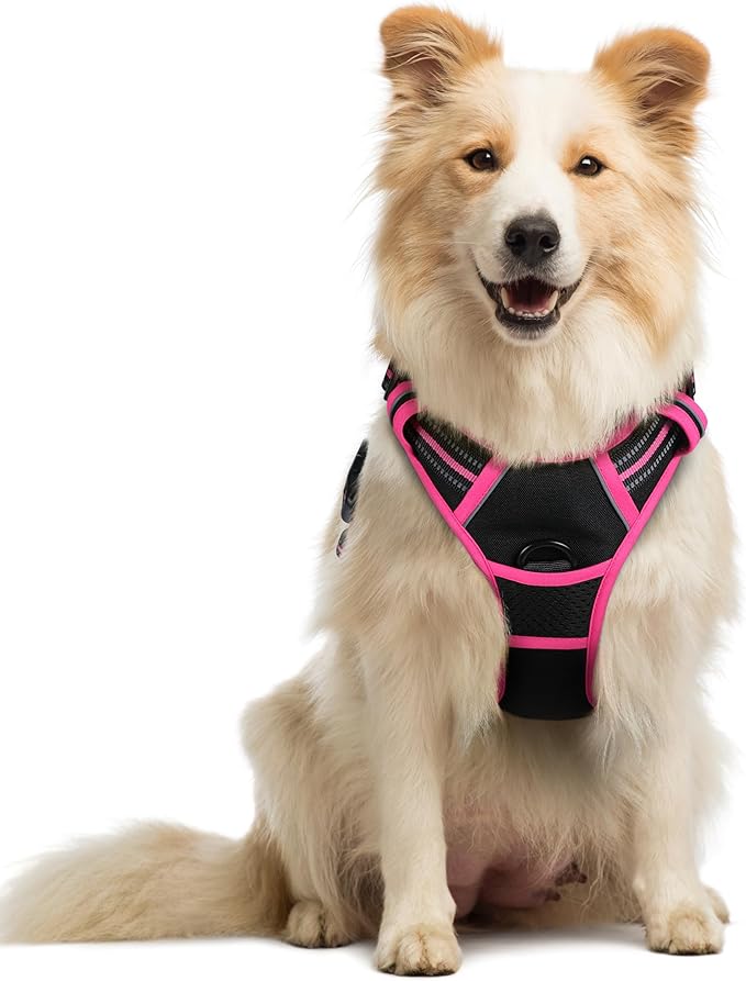 rabbitgoo Dog Harness No Pull by rabbitgoo