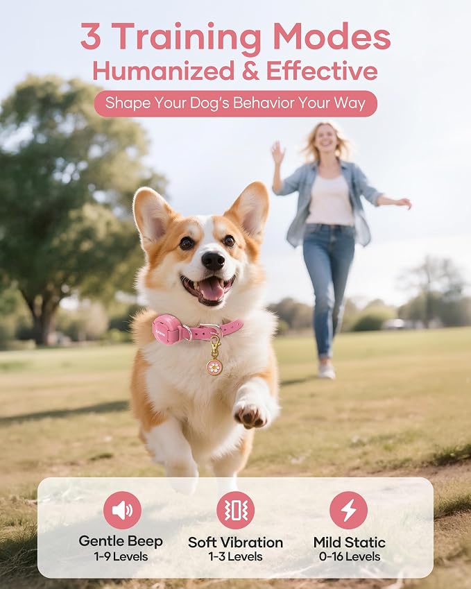 Jugbow 2-in-1 Pet ID Tag & Shock Collar - Image 5
