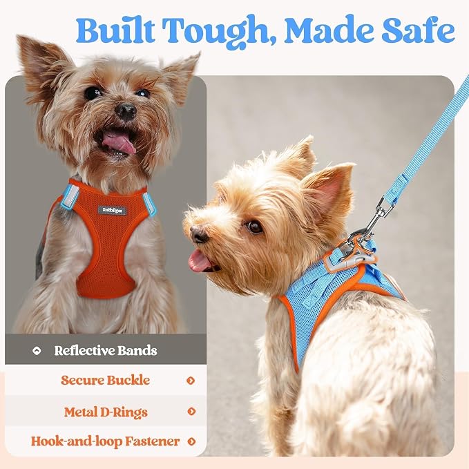 rabbitgoo Dog Harness Small Sized and Leash Set, Step in Soft Light Puppy Vest - Image 5