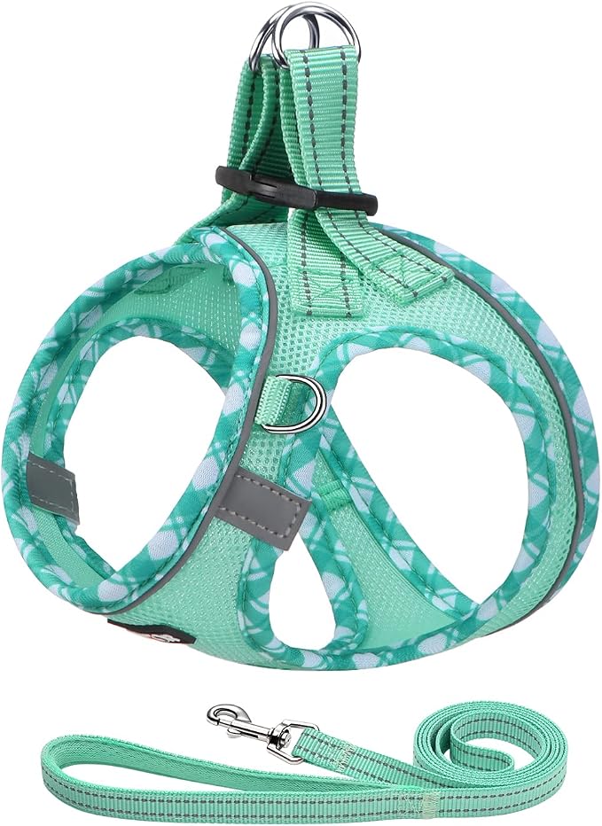 AMTOR Dog Harness with Leash Set, Upgrade No Pull Reflective Step-in Air All by AMTOR