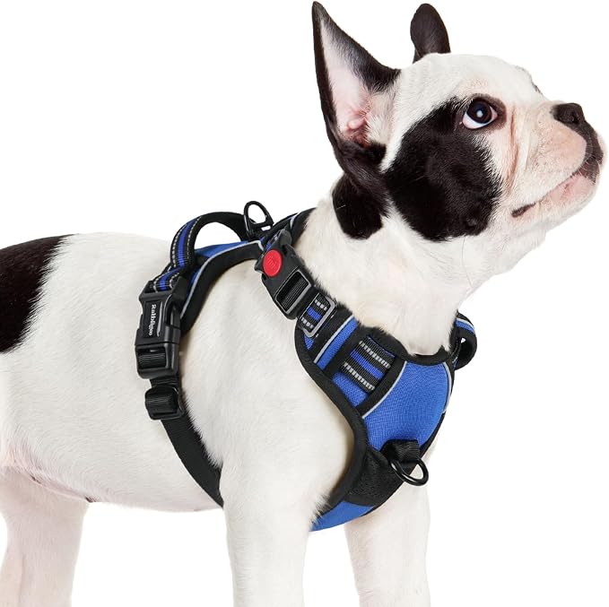 rabbitgoo Dog Harness Small Sized, No Pull Pet Harness by rabbitgoo