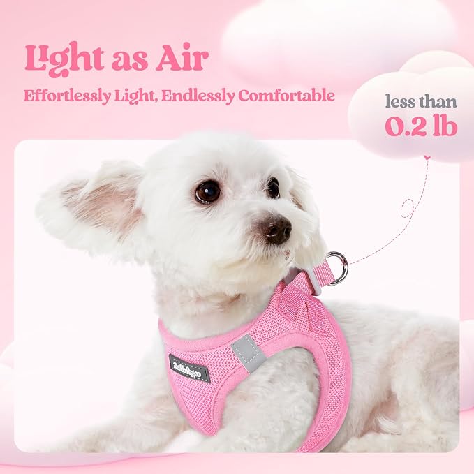 rabbitgoo Dog Harness Medium Sized and Leash Set, Step in Soft Light Puppy Vest - Image 4