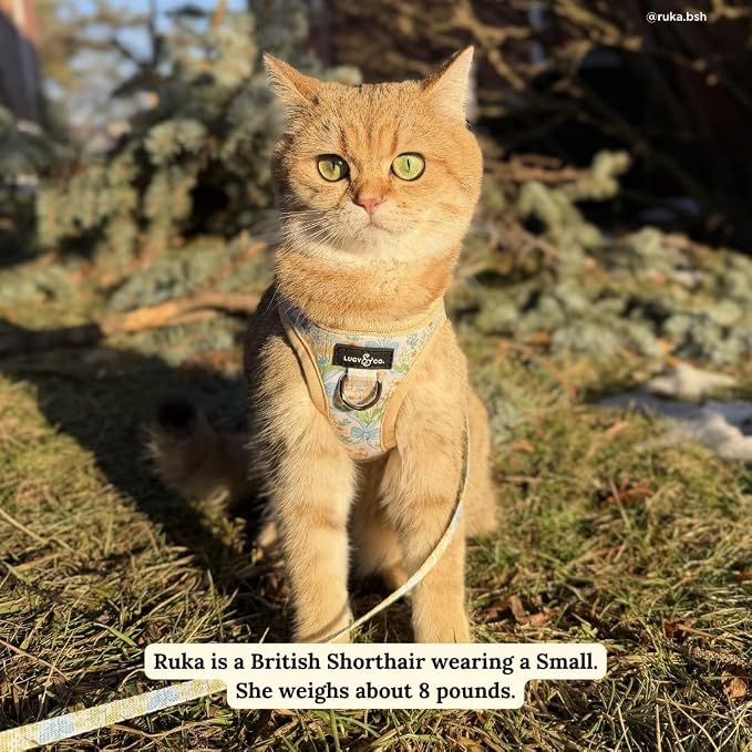 Lucy & Co. Sunshine and Daffodils Step-in Cat Harness and Leash Set Bundle - Image 5