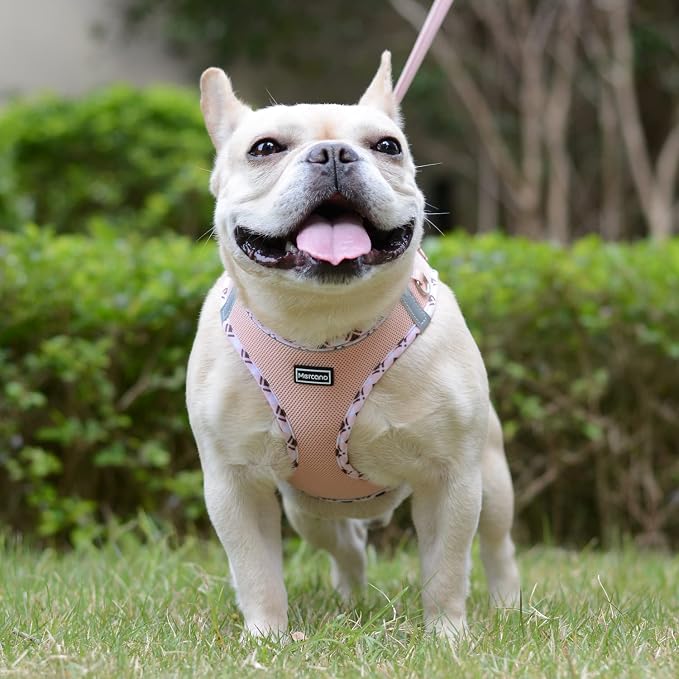 Mercano Soft Mesh Dog Harness and Leash Set, No-Chock Step-in Reflective - Image 5