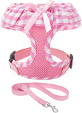 EXPAWLORER Cute Dog Harness and Leash Set by EXPAWLORER