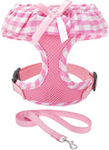 EXPAWLORER Cute Dog Harness and Leash Set by EXPAWLORER