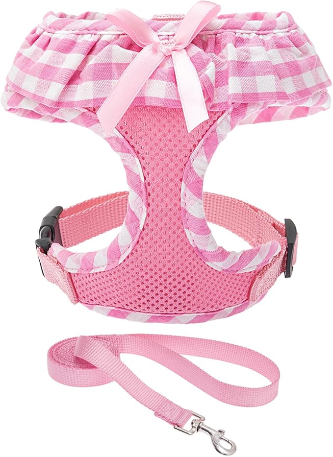 EXPAWLORER Cute Dog Harness and Leash Set by EXPAWLORER
