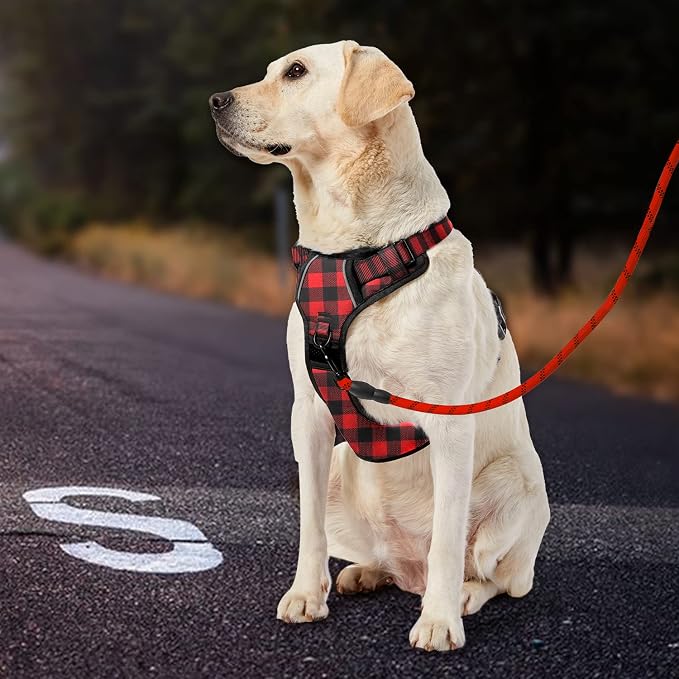 IVY&LANE No Pull Dog Harness - Image 6