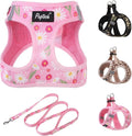 PUPTECK Dog Harness and Leash Set by PUPTECK
