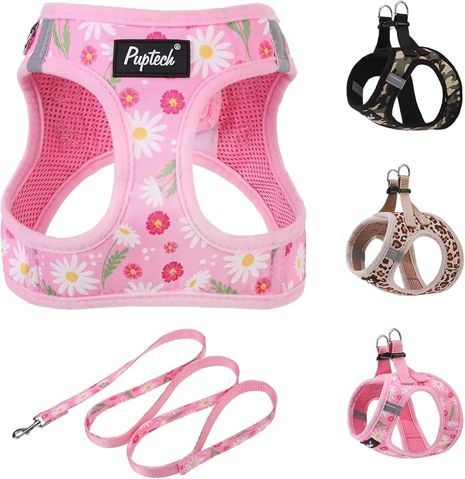 PUPTECK Dog Harness and Leash Set by PUPTECK