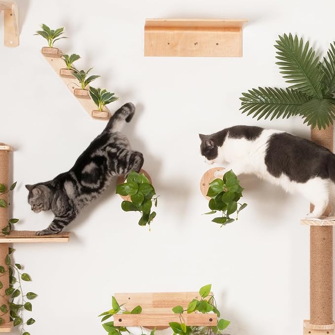 Meowoou 2PCS Cat Wall Shelves, 11.8 Inch Steps, Cats Wall Furniture Stairs - Image 6