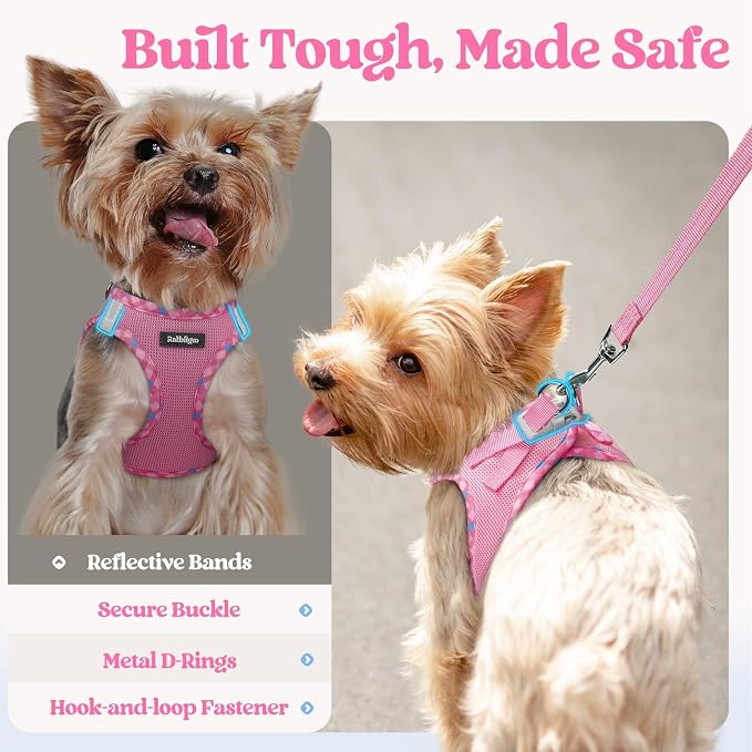 rabbitgoo Dog Harness Small Sized and Leash Set, Step in Soft Light Puppy Vest - Image 7
