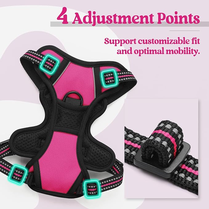 rabbitgoo Dog Harness No Pull - Image 4