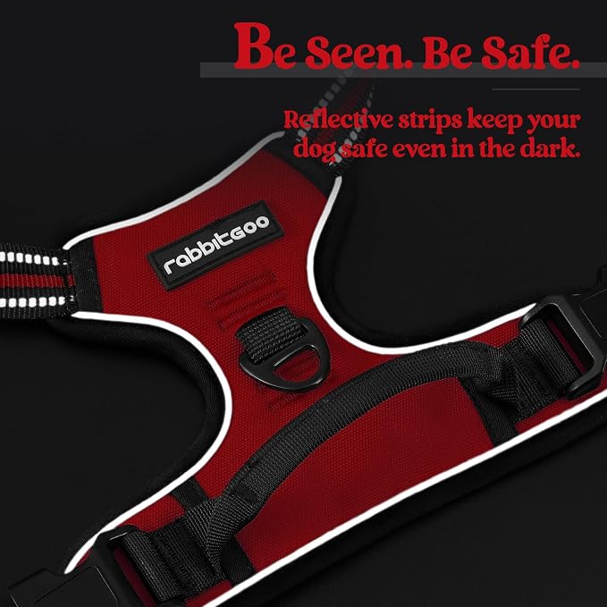 rabbitgoo Dog Harness No Pull - Image 7