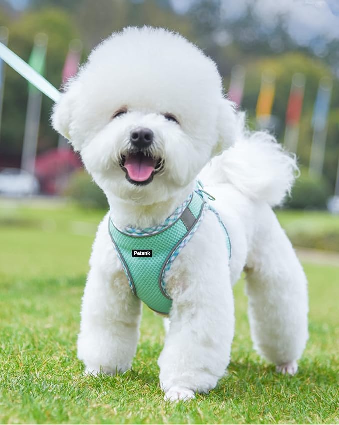 Petank Dog Harness for Small Medium Dogs No Pull, Puppy Harness and Leash Set - Image 2