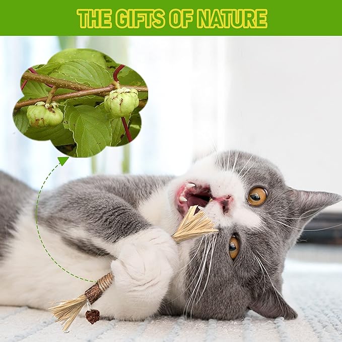 5 Pack Silvervine Cat Toy, Cat & Kitten Chew Toys - Image 4