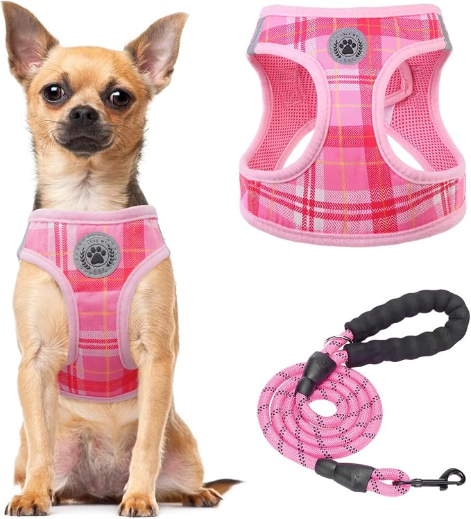 BEAUTYZOO Small Dog Harness and Leash Set, Step in No Choke No Pull Soft Mesh by BEAUTYZOO