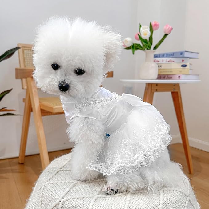 Fashion Sweet Puppy Dog Blingbling Princess Skirt Pet Dog Lace Cake Camisole - Image 6