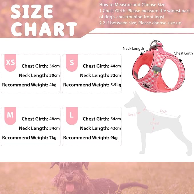 Gyuzh Dog Harness and Leash Set, Soft Mesh Breathable Small Dog Harness - Image 2