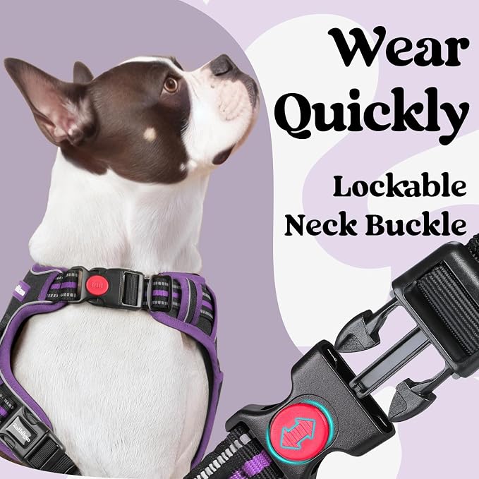 rabbitgoo Dog Harness for Large, No Pull Pet Harness - Image 2