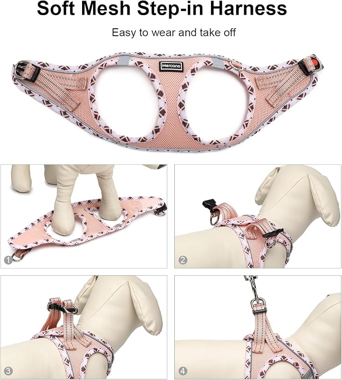 Mercano Soft Mesh Dog Harness and Leash Set, No-Chock Step-in Reflective - Image 7