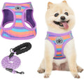 BEAUTYZOO Dog Harness and Leash Set by BEAUTYZOO