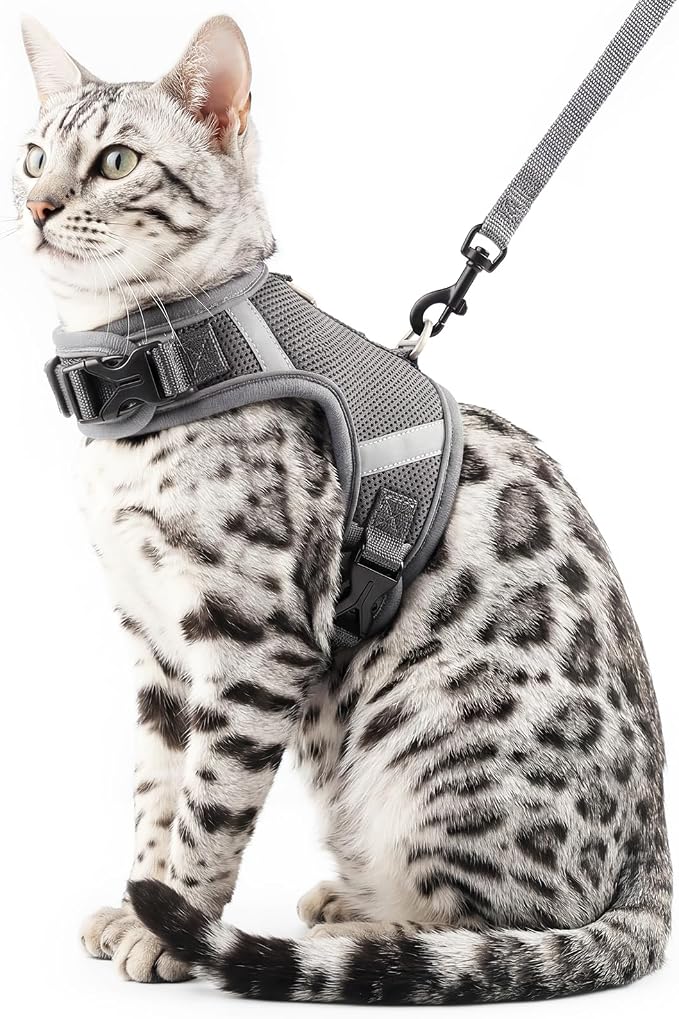 Cat Harness and Leash Escape Proof Kitten Harness Cat Leash by pangdi