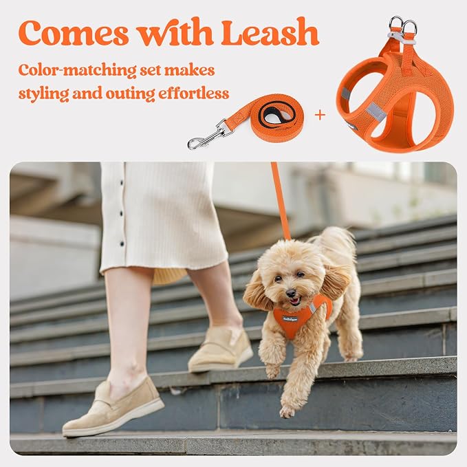 rabbitgoo Dog Harness Small Sized and Leash Set, Step in Soft Light Puppy Vest - Image 5