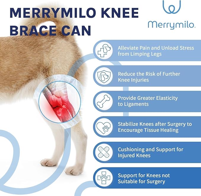 Dog Knee Brace for Torn ACL & Hind Leg Support – Adjustable Dog Hip & Leg Brace - Image 2