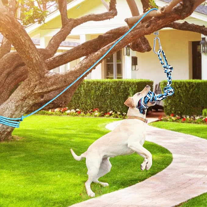LOOBANI Spring Pole Toy for Pitbull: Bungee Tug of War Toys for Small Large - Image 6