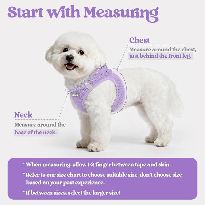 rabbitgoo Dog Harness Small Medium Sized and Leash Set, Step in Soft Light - Image 2