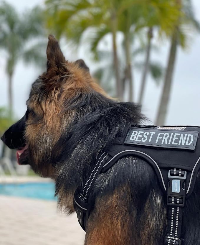 Auroth Tactical Dog Harness for Large Dogs No Pull Adjustable Pet Harness - Image 2